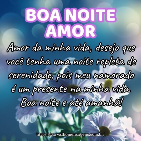 Amor da minha vida, desejo que você tenha uma noite repleta de serenidade, pois meu namorado é um presente na minha vida. Boa noite e até amanhã! Amor da minha vida, desejo que você tenha uma noite repleta de serenidade, pois meu namorado é um presente na minha vida. Boa noite e até amanhã!
