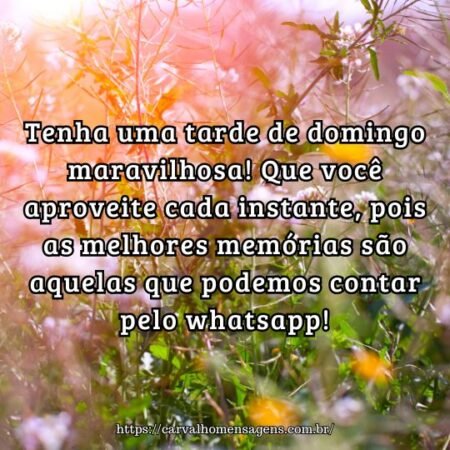 Tenha uma tarde de domingo maravilhosa! Que você aproveite cada instante, pois as melhores memórias são aquelas que podemos contar pelo whatsapp! Tenha uma tarde de domingo maravilhosa! Que você aproveite cada instante, pois as melhores memórias são aquelas que podemos contar pelo whatsapp!