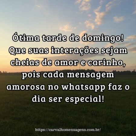 Ótima tarde de domingo! Que suas interações sejam cheias de amor e carinho, pois cada mensagem amorosa no whatsapp faz o dia ser especial! Ótima tarde de domingo! Que suas interações sejam cheias de amor e carinho, pois cada mensagem amorosa no whatsapp faz o dia ser especial!