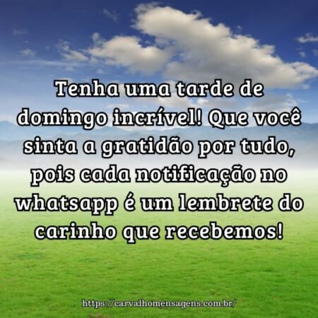 Tenha uma tarde de domingo incrível! Que você sinta a gratidão por tudo, pois cada notificação no whatsapp é um lembrete do carinho que recebemos! Tenha uma tarde de domingo incrível! Que você sinta a gratidão por tudo, pois cada notificação no whatsapp é um lembrete do carinho que recebemos!