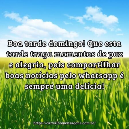 Boa tarde domingo! Que esta tarde traga momentos de paz e alegria, pois compartilhar boas notícias pelo whatsapp é sempre uma delícia! Boa tarde domingo! Que esta tarde traga momentos de paz e alegria, pois compartilhar boas notícias pelo whatsapp é sempre uma delícia!