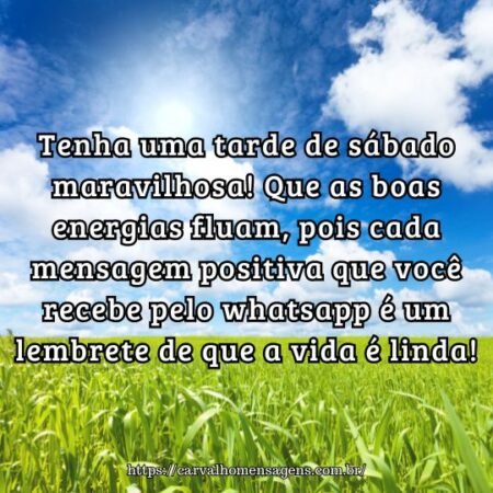Tenha uma tarde de sábado maravilhosa! Que as boas energias fluam, pois cada mensagem positiva que você recebe pelo whatsapp é um lembrete de que a vida é linda! Tenha uma tarde de sábado maravilhosa! Que as boas energias fluam, pois cada mensagem positiva que você recebe pelo whatsapp é um lembrete de que a vida é linda!