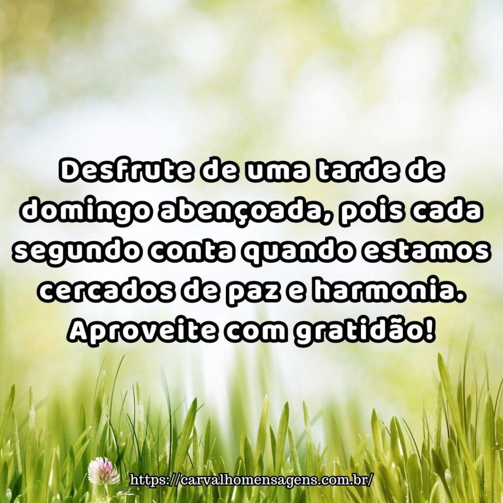 Mensagens de boa tarde domingo abençoado