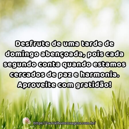 Desfrute de uma tarde de domingo abençoada, pois cada segundo conta quando estamos cercados de paz e harmonia. Aproveite com gratidão! Desfrute de uma tarde de domingo abençoada, pois cada segundo conta quando estamos cercados de paz e harmonia. Aproveite com gratidão!