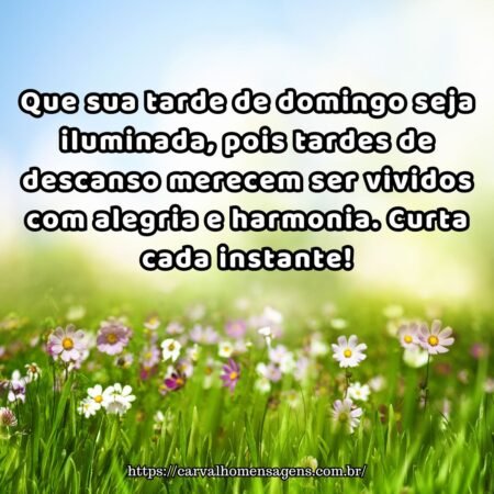 Que sua tarde de domingo seja iluminada, pois tardes de descanso merecem ser vividos com alegria e harmonia. Curta cada instante! Que sua tarde de domingo seja iluminada, pois tardes de descanso merecem ser vividos com alegria e harmonia. Curta cada instante!