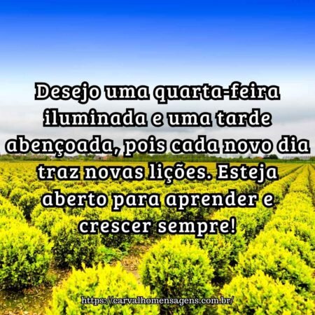 Desejo uma quarta-feira iluminada e uma tarde abençoada, pois cada novo dia traz novas lições. Esteja aberto para aprender e crescer sempre! Desejo uma quarta-feira iluminada e uma tarde abençoada, pois cada novo dia traz novas lições. Esteja aberto para aprender e crescer sempre!