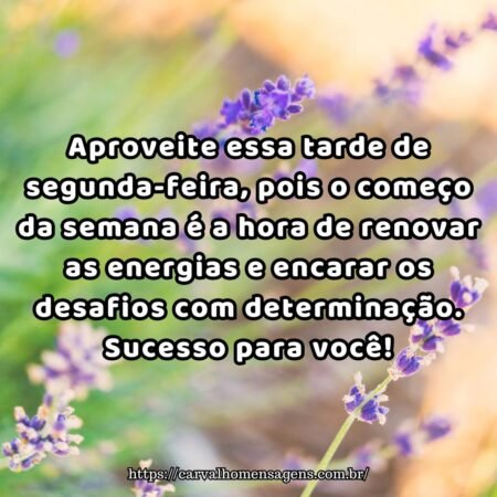 Aproveite essa tarde de segunda-feira, pois o começo da semana é a hora de renovar as energias e encarar os desafios com determinação. Sucesso para você! Aproveite essa tarde de segunda-feira, pois o começo da semana é a hora de renovar as energias e encarar os desafios com determinação. Sucesso para você!