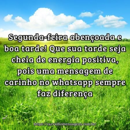 Segunda-feira abençoada e boa tarde! Que sua tarde seja cheia de energia positiva, pois uma mensagem de carinho no whatsapp sempre faz diferença. Segunda-feira abençoada e boa tarde! Que sua tarde seja cheia de energia positiva, pois uma mensagem de carinho no whatsapp sempre faz diferença.