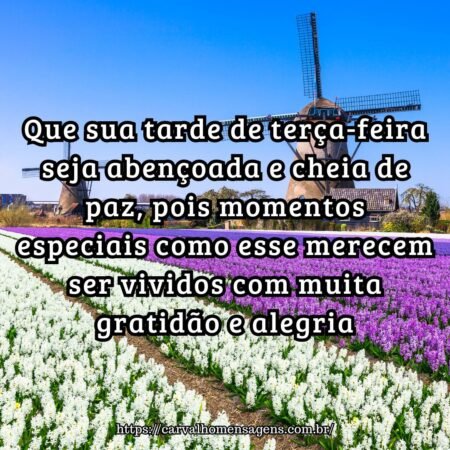 Que sua tarde de terça-feira seja abençoada e cheia de paz, pois momentos especiais como esse merecem ser vividos com muita gratidão e alegria. Que sua tarde de terça-feira seja abençoada e cheia de paz, pois momentos especiais como esse merecem ser vividos com muita gratidão e alegria.