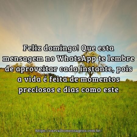 Feliz domingo! Que esta mensagem no WhatsApp te lembre de aproveitar cada instante, pois a vida é feita de momentos preciosos e dias como este. Feliz domingo! Que esta mensagem no WhatsApp te lembre de aproveitar cada instante, pois a vida é feita de momentos preciosos e dias como este.