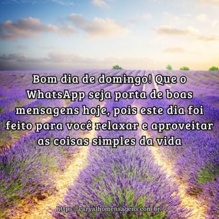 Bom dia de domingo! Que o WhatsApp seja porta de boas mensagens hoje, pois este dia foi feito para você relaxar e aproveitar as coisas simples da vida. Bom dia de domingo! Que o WhatsApp seja porta de boas mensagens hoje, pois este dia foi feito para você relaxar e aproveitar as coisas simples da vida.