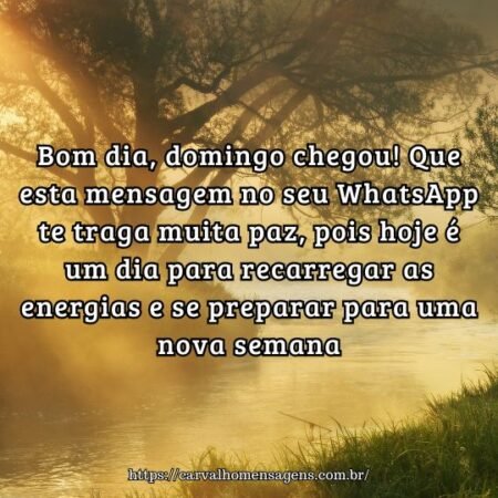 Bom dia, domingo chegou! Que esta mensagem no seu WhatsApp te traga muita paz, pois hoje é um dia para recarregar as energias e se preparar para uma nova semana. Bom dia, domingo chegou! Que esta mensagem no seu WhatsApp te traga muita paz, pois hoje é um dia para recarregar as energias e se preparar para uma nova semana.