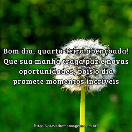 Bom dia, quarta-feira abençoada! Que sua manhã traga paz e novas oportunidades, pois o dia promete momentos incríveis. Bom dia, quarta-feira abençoada! Que sua manhã traga paz e novas oportunidades, pois o dia promete momentos incríveis.