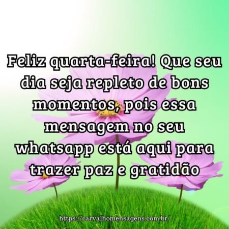 Feliz quarta-feira! Que seu dia seja repleto de bons momentos, pois essa mensagem no seu whatsapp está aqui para trazer paz e gratidão. Feliz quarta-feira! Que seu dia seja repleto de bons momentos, pois essa mensagem no seu whatsapp está aqui para trazer paz e gratidão.
