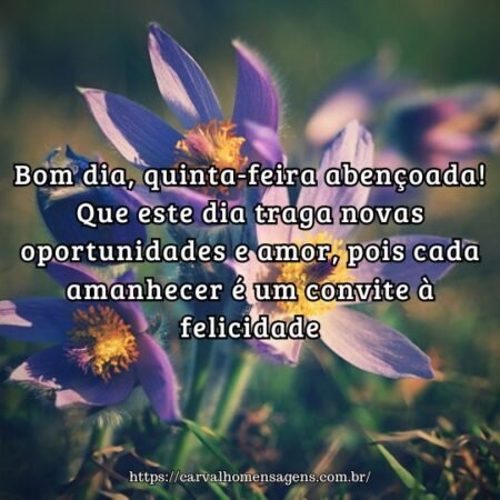 Bom dia, quinta-feira abençoada! Que este dia traga novas oportunidades e amor, pois cada amanhecer é um convite à felicidade. Bom dia, quinta-feira abençoada! Que este dia traga novas oportunidades e amor, pois cada amanhecer é um convite à felicidade.