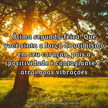 Ótima segunda-feira! Que você sinta a força do otimismo em seu coração, pois a positividade é contagiante e atrai boas vibrações. Ótima segunda-feira! Que você sinta a força do otimismo em seu coração, pois a positividade é contagiante e atrai boas vibrações.