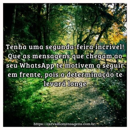 Tenha uma segunda-feira incrível! Que as mensagens que chegam ao seu WhatsApp te motivem a seguir em frente, pois a determinação te levará longe. Tenha uma segunda-feira incrível! Que as mensagens que chegam ao seu WhatsApp te motivem a seguir em frente, pois a determinação te levará longe.