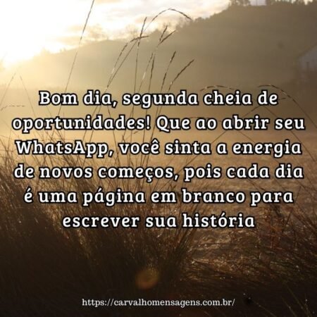 Bom dia, segunda cheia de oportunidades! Que ao abrir seu WhatsApp, você sinta a energia de novos começos, pois cada dia é uma página em branco para escrever sua história. Bom dia, segunda cheia de oportunidades! Que ao abrir seu WhatsApp, você sinta a energia de novos começos, pois cada dia é uma página em branco para escrever sua história.