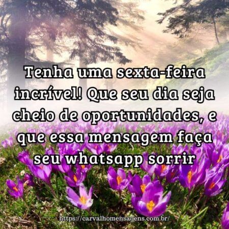 Tenha uma sexta-feira incrível! Que seu dia seja cheio de oportunidades, e que essa mensagem faça seu whatsapp sorrir. Tenha uma sexta-feira incrível! Que seu dia seja cheio de oportunidades, e que essa mensagem faça seu whatsapp sorrir.