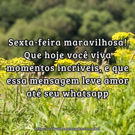 Sexta-feira maravilhosa! Que hoje você viva momentos incríveis, e que essa mensagem leve amor até seu whatsapp. Sexta-feira maravilhosa! Que hoje você viva momentos incríveis, e que essa mensagem leve amor até seu whatsapp.