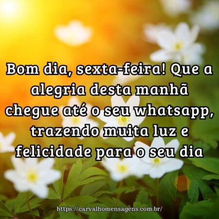 Bom dia, sexta-feira! Que a alegria desta manhã chegue até o seu whatsapp, trazendo muita luz e felicidade para o seu dia. Bom dia, sexta-feira! Que a alegria desta manhã chegue até o seu whatsapp, trazendo muita luz e felicidade para o seu dia.