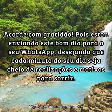 Acorde com gratidão! Pois estou enviando este bom dia para o seu WhatsApp, desejando que cada minuto do seu dia seja cheio de realizações e motivos para sorrir. Acorde com gratidão! Pois estou enviando este bom dia para o seu WhatsApp, desejando que cada minuto do seu dia seja cheio de realizações e motivos para sorrir.