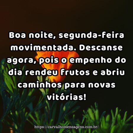 Boa noite, segunda-feira movimentada. Descanse agora, pois o empenho do dia rendeu frutos e abriu caminhos para novas vitórias! Boa noite, segunda-feira movimentada. Descanse agora, pois o empenho do dia rendeu frutos e abriu caminhos para novas vitórias!