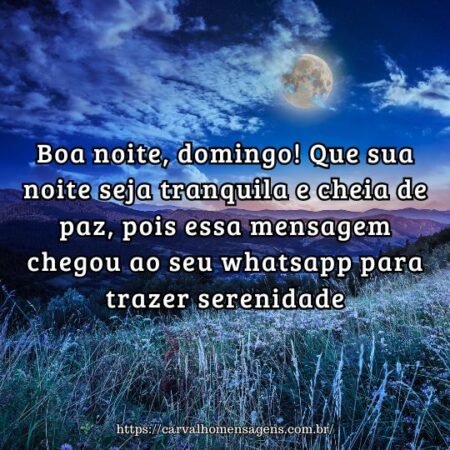 Boa noite, domingo! Que sua noite seja tranquila e cheia de paz, pois essa mensagem chegou ao seu whatsapp para trazer serenidade. Boa noite, domingo! Que sua noite seja tranquila e cheia de paz, pois essa mensagem chegou ao seu whatsapp para trazer serenidade.