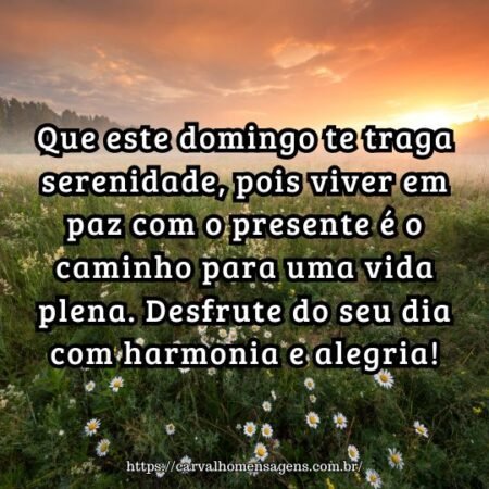 Que este domingo te traga serenidade, pois viver em paz com o presente é o caminho para uma vida plena. Desfrute do seu dia com harmonia e alegria! Que este domingo te traga serenidade, pois viver em paz com o presente é o caminho para uma vida plena. Desfrute do seu dia com harmonia e alegria!