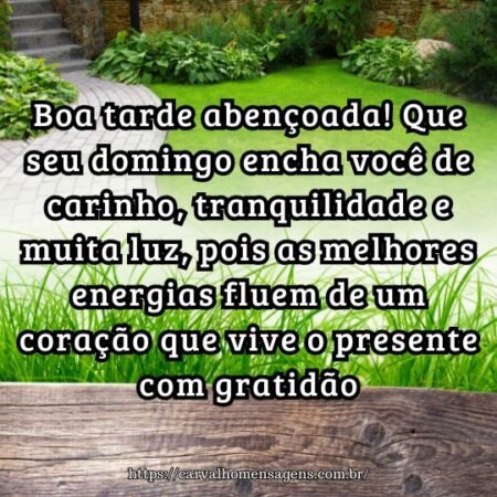 Boa tarde abençoada! Que seu domingo encha você de carinho, tranquilidade e muita luz, pois as melhores energias fluem de um coração que vive o presente com gratidão. Boa tarde abençoada! Que seu domingo encha você de carinho, tranquilidade e muita luz, pois as melhores energias fluem de um coração que vive o presente com gratidão.