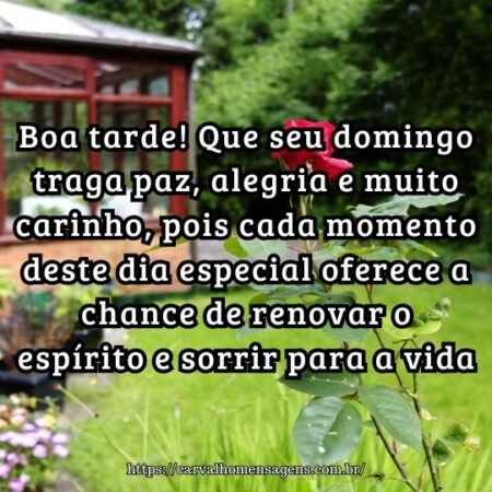 Boa tarde! Que seu domingo traga paz, alegria e muito carinho, pois cada momento deste dia especial oferece a chance de renovar o espírito e sorrir para a vida. Boa tarde! Que seu domingo traga paz, alegria e muito carinho, pois cada momento deste dia especial oferece a chance de renovar o espírito e sorrir para a vida.