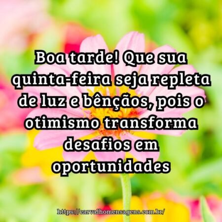 Boa tarde! Que sua quinta-feira seja repleta de luz e bênçãos, pois o otimismo transforma desafios em oportunidades. Boa tarde! Que sua quinta-feira seja repleta de luz e bênçãos, pois o otimismo transforma desafios em oportunidades.