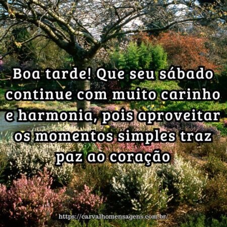 Boa tarde! Que seu sábado continue com muito carinho e harmonia, pois aproveitar os momentos simples traz paz ao coração. Boa tarde! Que seu sábado continue com muito carinho e harmonia, pois aproveitar os momentos simples traz paz ao coração.