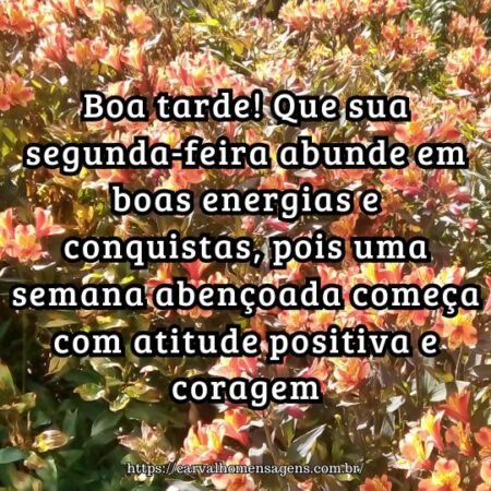 Boa tarde! Que sua segunda-feira abunde em boas energias e conquistas, pois uma semana abençoada começa com atitude positiva e coragem. Boa tarde! Que sua segunda-feira abunde em boas energias e conquistas, pois uma semana abençoada começa com atitude positiva e coragem.