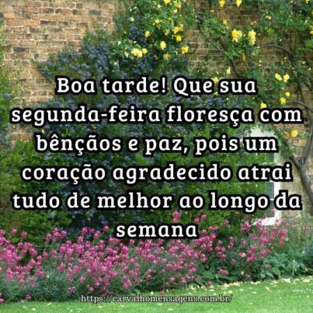 Boa tarde! Que sua segunda-feira floresça com bênçãos e paz, pois um coração agradecido atrai tudo de melhor ao longo da semana. Boa tarde! Que sua segunda-feira floresça com bênçãos e paz, pois um coração agradecido atrai tudo de melhor ao longo da semana.