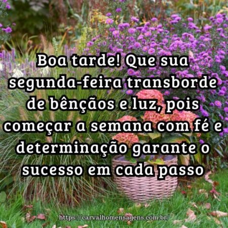 Boa tarde! Que sua segunda-feira transborde de bênçãos e luz, pois começar a semana com fé e determinação garante o sucesso em cada passo. Boa tarde! Que sua segunda-feira transborde de bênçãos e luz, pois começar a semana com fé e determinação garante o sucesso em cada passo.