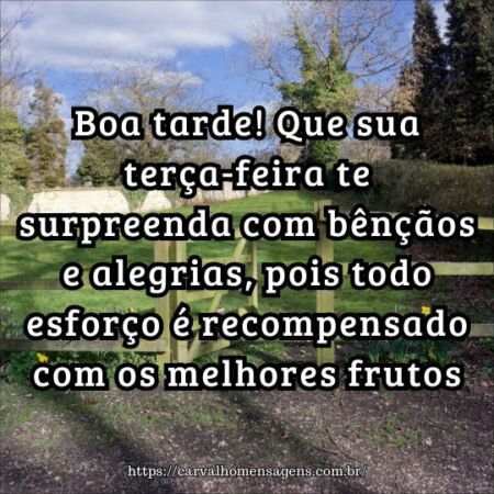 Boa tarde! Que sua terça-feira te surpreenda com bênçãos e alegrias, pois todo esforço é recompensado com os melhores frutos. Boa tarde! Que sua terça-feira te surpreenda com bênçãos e alegrias, pois todo esforço é recompensado com os melhores frutos.