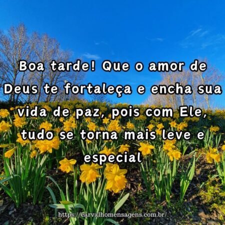 Boa tarde! Que o amor de Deus te fortaleça e encha sua vida de paz, pois com Ele, tudo se torna mais leve e especial. Boa tarde! Que o amor de Deus te fortaleça e encha sua vida de paz, pois com Ele, tudo se torna mais leve e especial.