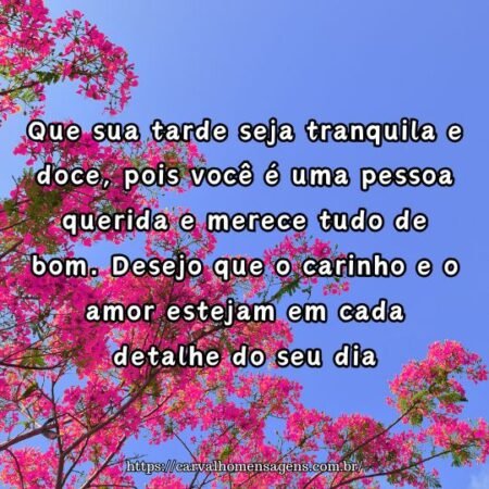 Que sua tarde seja tranquila e doce, pois você é uma pessoa querida e merece tudo de bom. Desejo que o carinho e o amor estejam em cada detalhe do seu dia. Que sua tarde seja tranquila e doce, pois você é uma pessoa querida e merece tudo de bom. Desejo que o carinho e o amor estejam em cada detalhe do seu dia.