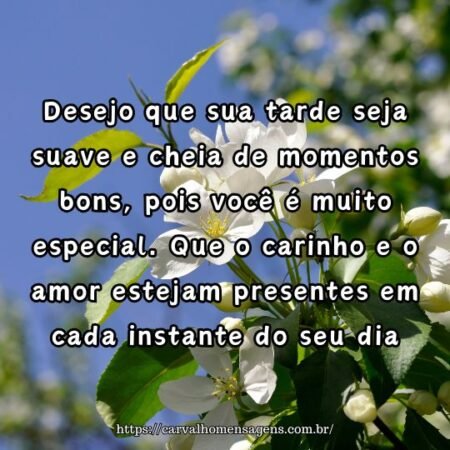 Desejo que sua tarde seja suave e cheia de momentos bons, pois você é muito especial. Que o carinho e o amor estejam presentes em cada instante do seu dia. Desejo que sua tarde seja suave e cheia de momentos bons, pois você é muito especial. Que o carinho e o amor estejam presentes em cada instante do seu dia.