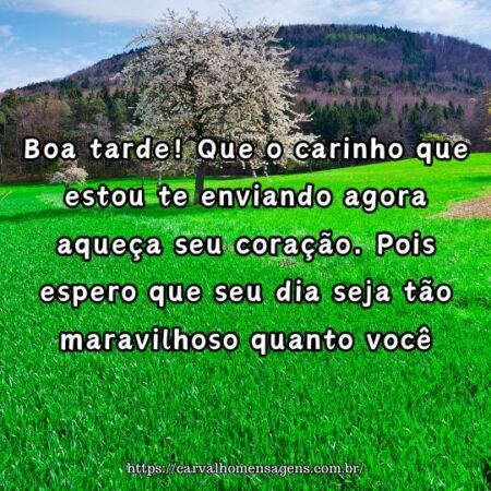 Boa tarde! Que o carinho que estou te enviando agora aqueça seu coração. Pois espero que seu dia seja tão maravilhoso quanto você. Boa tarde! Que o carinho que estou te enviando agora aqueça seu coração. Pois espero que seu dia seja tão maravilhoso quanto você.