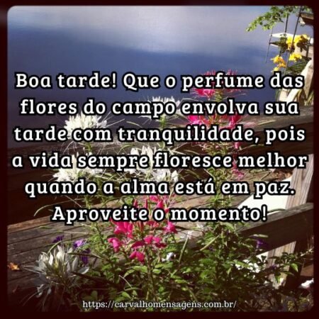 Boa tarde! Que o perfume das flores do campo envolva sua tarde com tranquilidade, pois a vida sempre floresce melhor quando a alma está em paz. Aproveite o momento! Boa tarde! Que o perfume das flores do campo envolva sua tarde com tranquilidade, pois a vida sempre floresce melhor quando a alma está em paz. Aproveite o momento!
