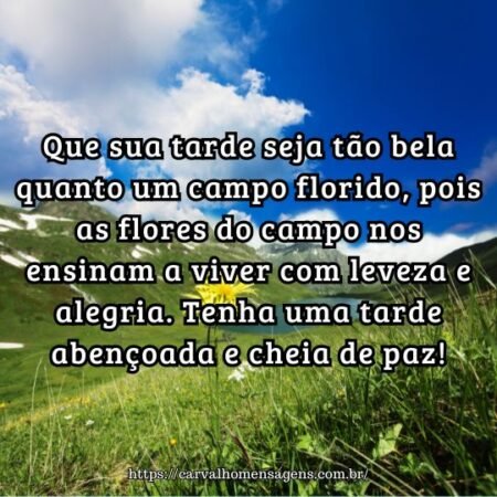 Que sua tarde seja tão bela quanto um campo florido, pois as flores do campo nos ensinam a viver com leveza e alegria. Tenha uma tarde abençoada e cheia de paz! Que sua tarde seja tão bela quanto um campo florido, pois as flores do campo nos ensinam a viver com leveza e alegria. Tenha uma tarde abençoada e cheia de paz!