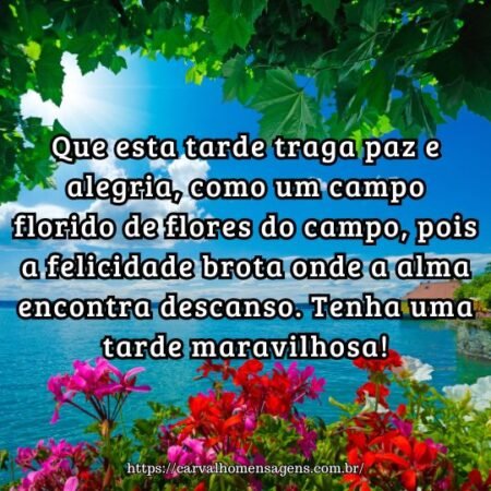 Que esta tarde traga paz e alegria, como um campo florido de flores do campo, pois a felicidade brota onde a alma encontra descanso. Tenha uma tarde maravilhosa! Que esta tarde traga paz e alegria, como um campo florido de flores do campo, pois a felicidade brota onde a alma encontra descanso. Tenha uma tarde maravilhosa!