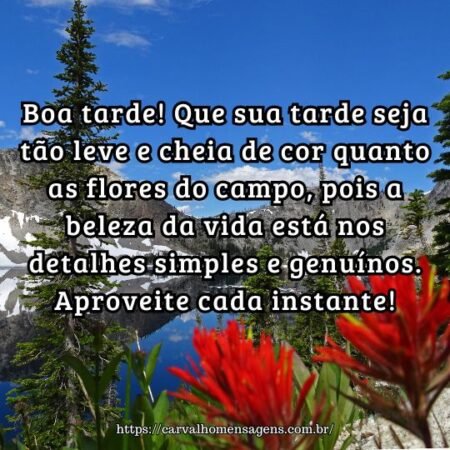 Boa tarde! Que sua tarde seja tão leve e cheia de cor quanto as flores do campo, pois a beleza da vida está nos detalhes simples e genuínos. Aproveite cada instante! Boa tarde! Que sua tarde seja tão leve e cheia de cor quanto as flores do campo, pois a beleza da vida está nos detalhes simples e genuínos. Aproveite cada instante!