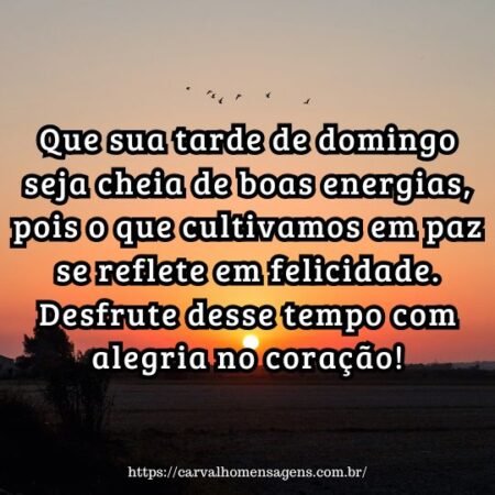 Que sua tarde de domingo seja cheia de boas energias, pois o que cultivamos em paz se reflete em felicidade. Desfrute desse tempo com alegria no coração! Que sua tarde de domingo seja cheia de boas energias, pois o que cultivamos em paz se reflete em felicidade. Desfrute desse tempo com alegria no coração!