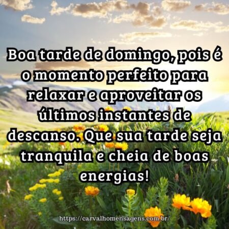 Boa tarde de domingo, pois é o momento perfeito para relaxar e aproveitar os últimos instantes de descanso. Que sua tarde seja tranquila e cheia de boas energias! Boa tarde de domingo, pois é o momento perfeito para relaxar e aproveitar os últimos instantes de descanso. Que sua tarde seja tranquila e cheia de boas energias!