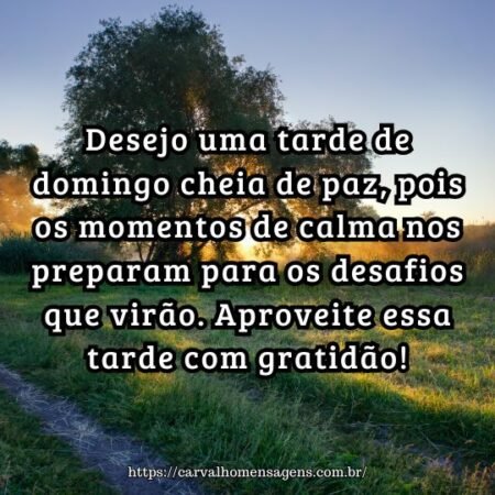 Desejo uma tarde de domingo cheia de paz, pois os momentos de calma nos preparam para os desafios que virão. Aproveite essa tarde com gratidão! Desejo uma tarde de domingo cheia de paz, pois os momentos de calma nos preparam para os desafios que virão. Aproveite essa tarde com gratidão!