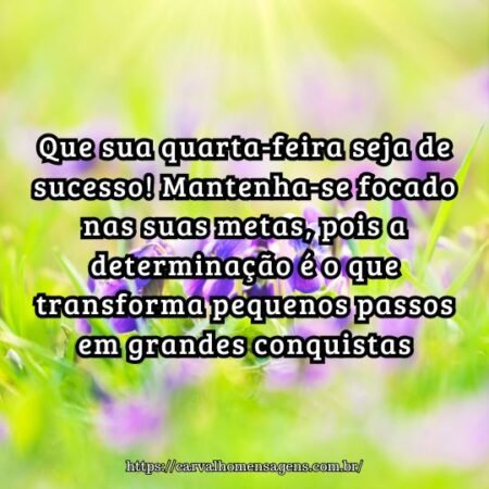 Que sua quarta-feira seja de sucesso! Mantenha-se focado nas suas metas, pois a determinação é o que transforma pequenos passos em grandes conquistas. Que sua quarta-feira seja de sucesso! Mantenha-se focado nas suas metas, pois a determinação é o que transforma pequenos passos em grandes conquistas.