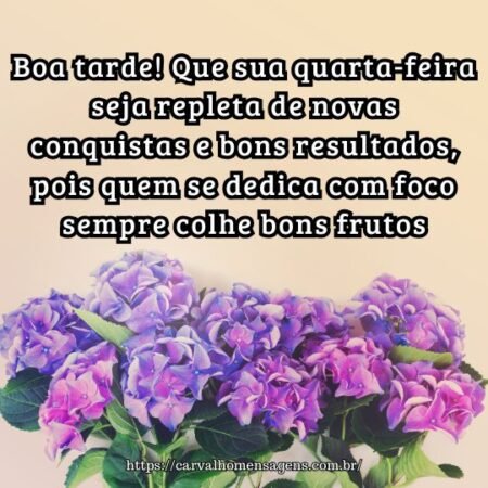 Boa tarde! Que sua quarta-feira seja repleta de novas conquistas e bons resultados, pois quem se dedica com foco sempre colhe bons frutos. Boa tarde! Que sua quarta-feira seja repleta de novas conquistas e bons resultados, pois quem se dedica com foco sempre colhe bons frutos.
